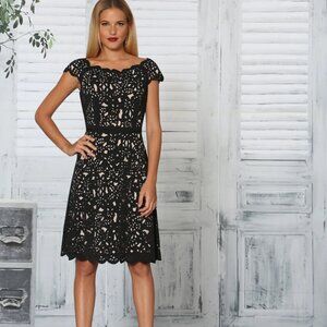 NWT | Shani Off-the-Shoulder Laser Cut Dress in Black & Beige Knee Length 8‎
